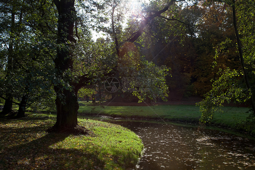 秋林中的池塘和黄树远足树叶文化车道阴影空地太阳公园美丽风景图片