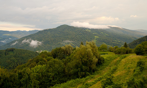 伊松佐索卡谷日落天空乡村灰色农村森林植被树木植物背景