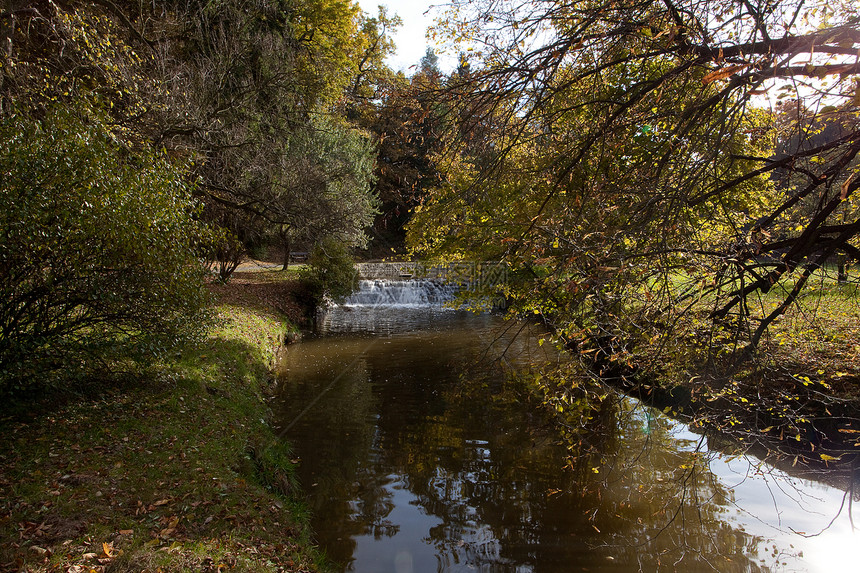 秋季森林的瀑布太阳植物美丽空地文化季节场景叶子池塘人行道图片