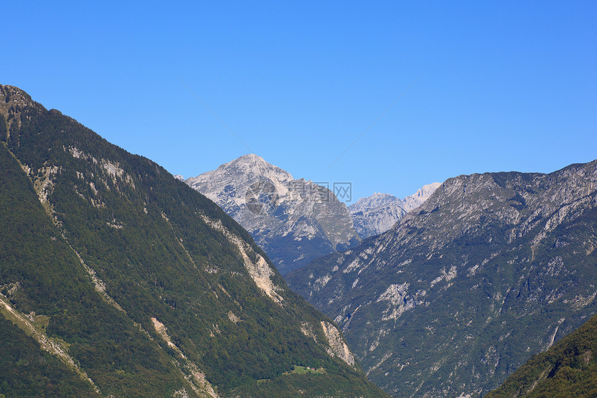朱利安阿尔卑斯木头乡村松林农村天空绿色风景假期牧场场景图片