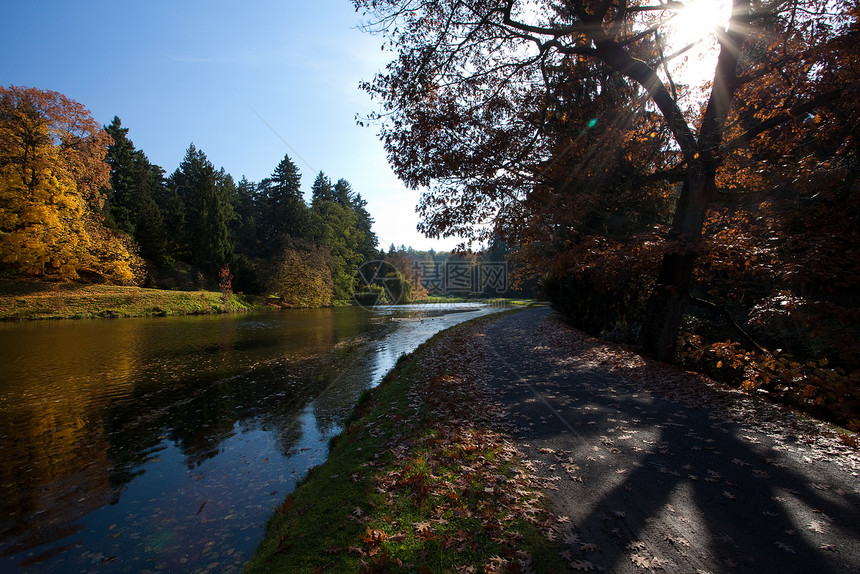 美丽的秋天风景 有丰富多彩的树木和池塘阳光太阳公园森林阴影远足植物人行道衬套车道图片