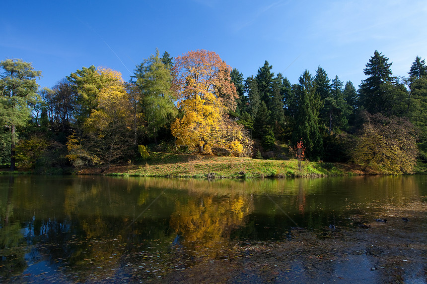 美丽的秋天风景 有丰富多彩的树木和池塘人行道空地文化森林衬套植物叶子季节阳光车道图片