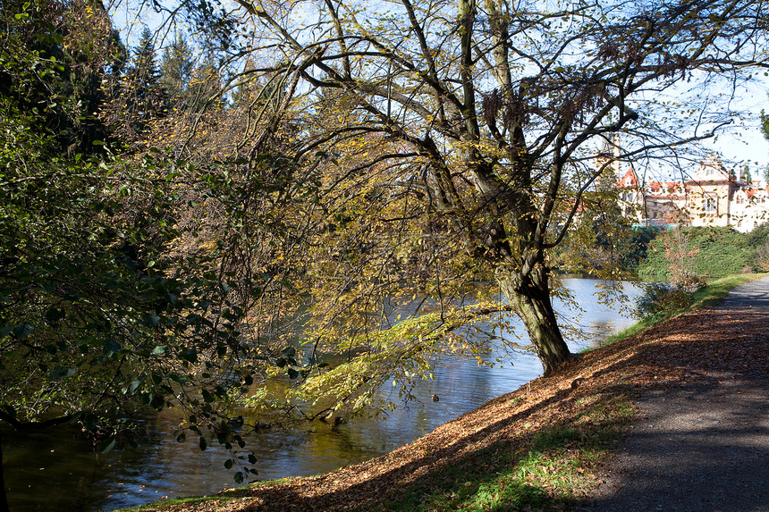 美丽的秋天风景 树木多彩 池塘和药衬套文化人行道太阳森林环境叶子季节车道远足图片