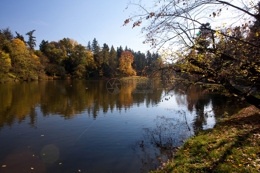 美丽的秋天风景 有丰富多彩的树木和池塘车道太阳植物季节树叶阴影叶子公园人行道环境图片