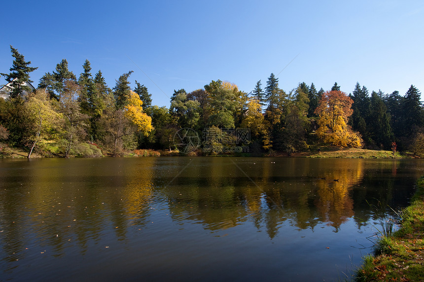 美丽的秋天风景 有丰富多彩的树木和池塘空地远足车道衬套太阳季节叶子公园森林阳光图片