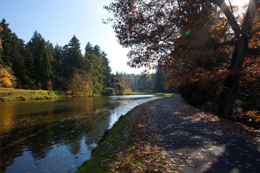 美丽的秋天风景 有丰富多彩的树木和池塘车道空地文化季节森林树叶阳光太阳场景公园图片