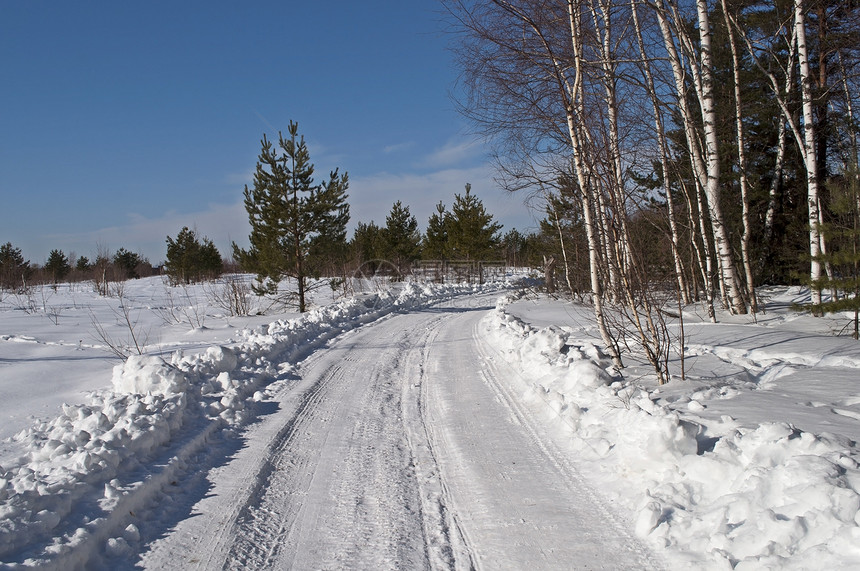 森林边缘的白雪路图片