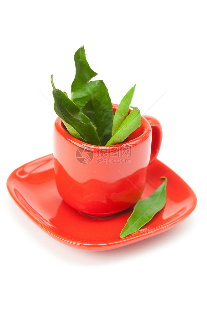 杯中的绿叶子是白的餐具早餐静脉飞碟叶子液体茶点陶瓷花瓣草本植物图片