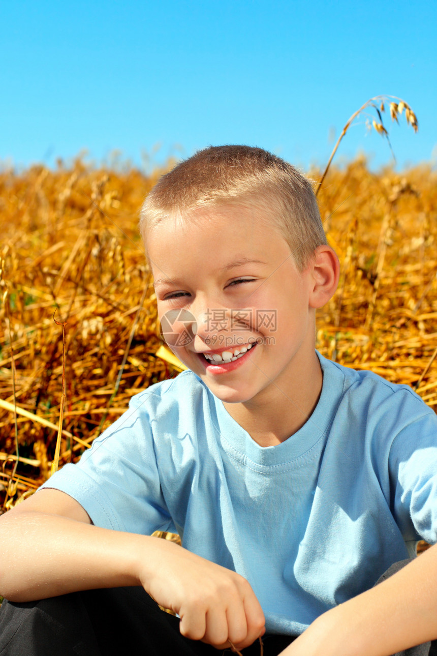 男孩在战场上收成孩子男性小麦黑麦青少年衬衫幸福草地蓝色图片
