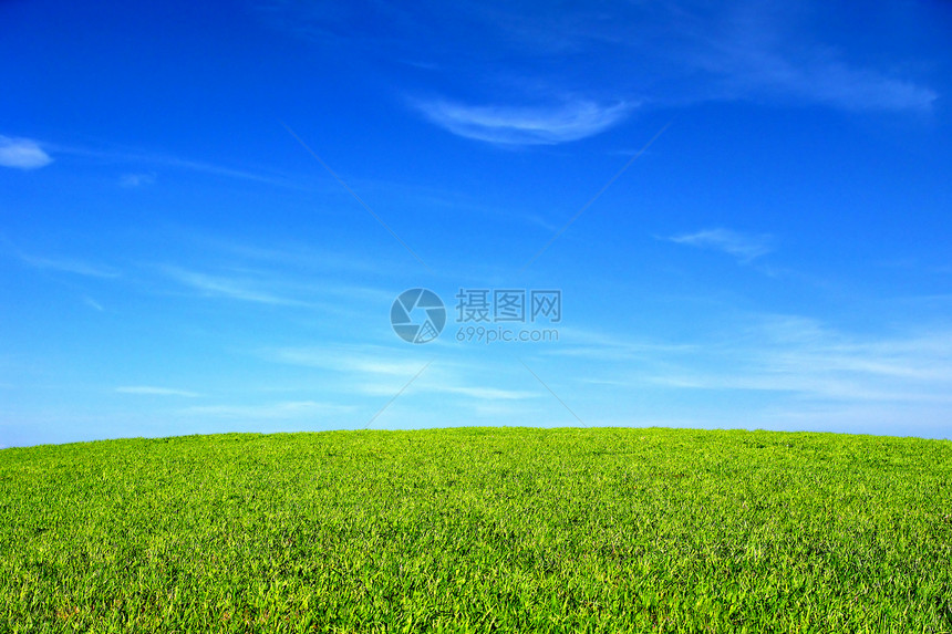 夏季风景场地乡村土地草原绿色植物绿色地平线环境运动场阳光图片