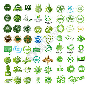 矢量生态标志收集食物横幅网站标签市场保修单认证花瓣插图绿色背景图片
