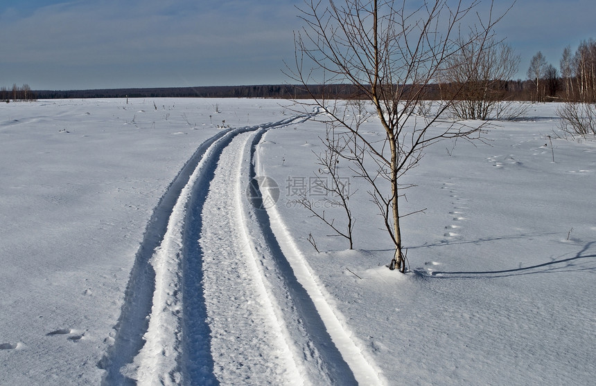 冬季田野的雪上小径图片