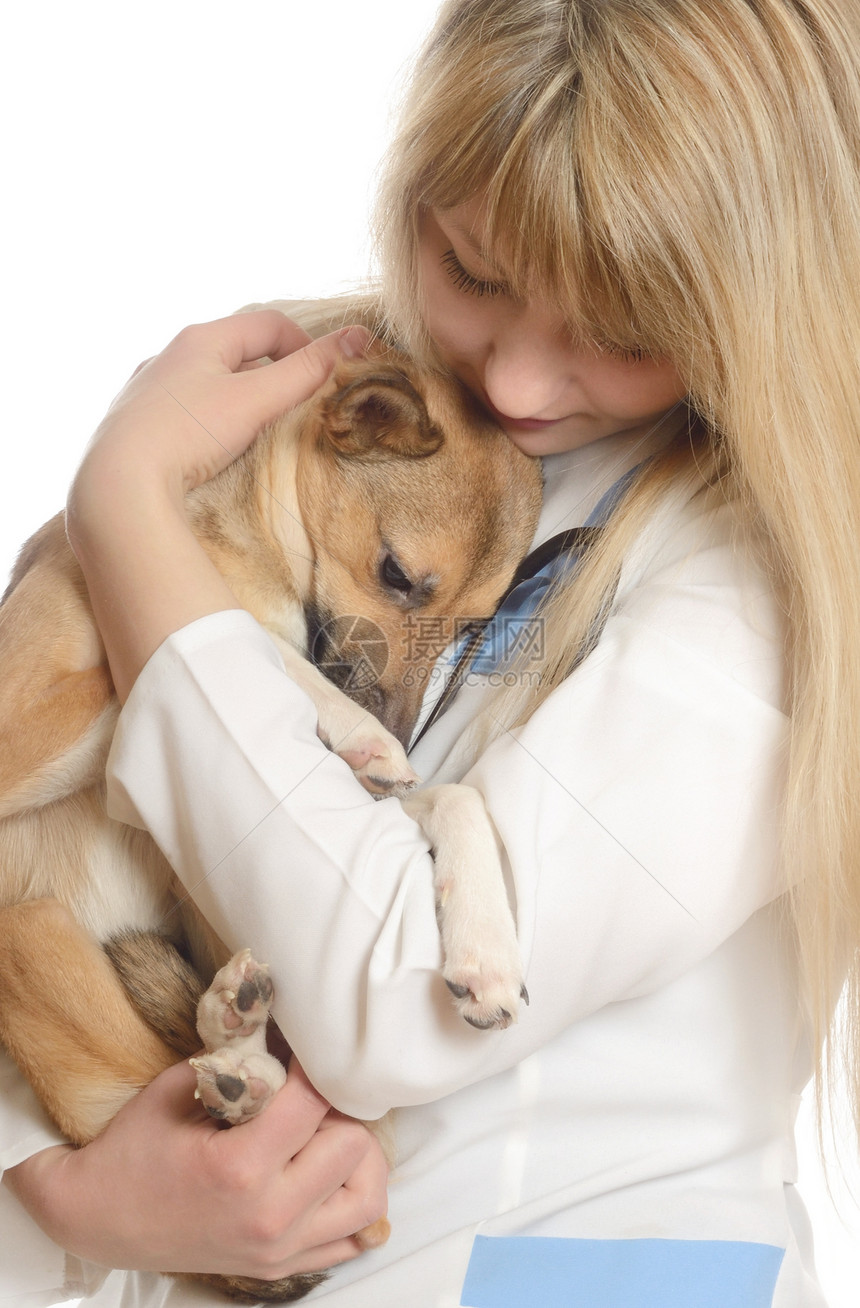善良的女兽医 抱着一只小狗图片