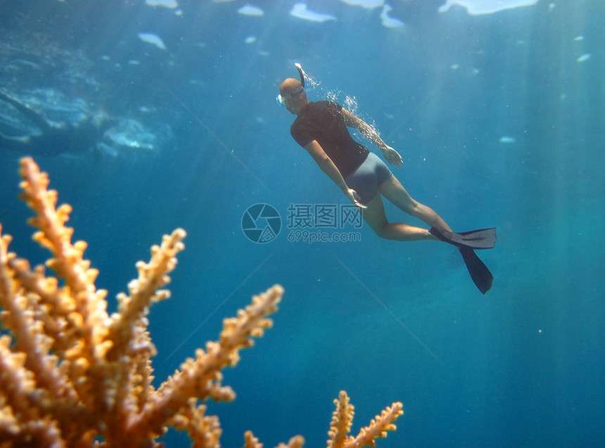 年轻的潜水员从深处浮出水面图片