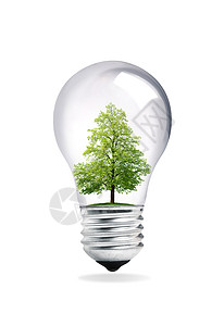 保护的性质绿色阀座白色玻璃反射植物金属木头灯泡树叶高清图片