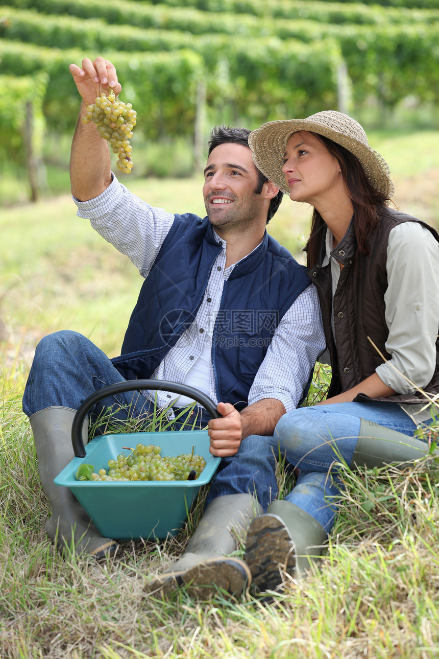 农夫和妻子坐着一篮子葡萄图片