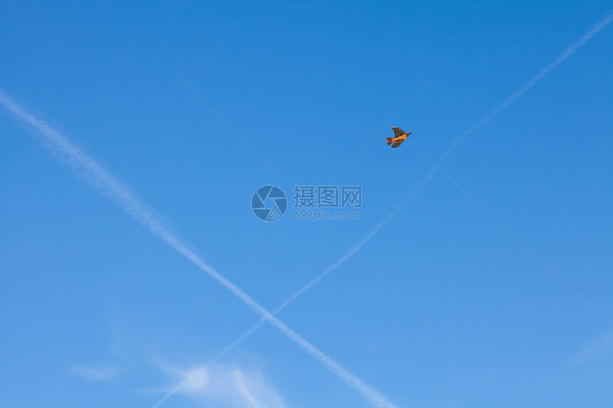 在蓝天背景上飞着风筝细绳阳光场景孩子天空假期自由孤独爱好城市图片
