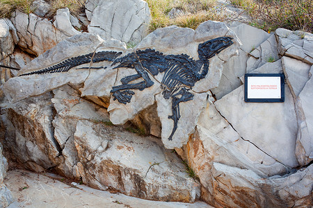 沙佩齐尼奥安东尼奥迪诺萨罗 泽西沙德罗斯岛女性古生物学地质学考古学爬虫爪子石灰岩恐龙悬崖沉积物背景
