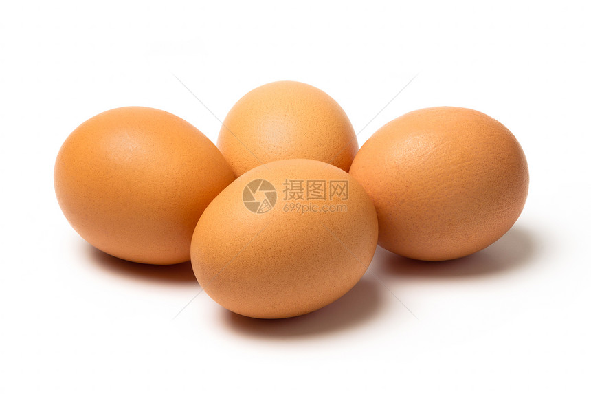 棕蛋物体饮食健康饮食白色摄影食物动物阴影影棚水平图片
