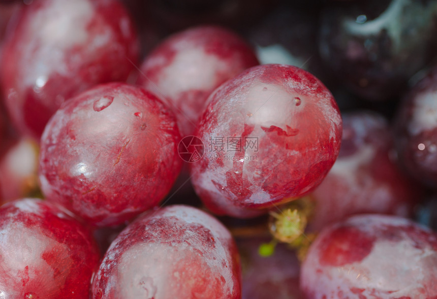 红熟葡萄团体酿酒收成藤蔓浆果水果红色宏观食物活力图片