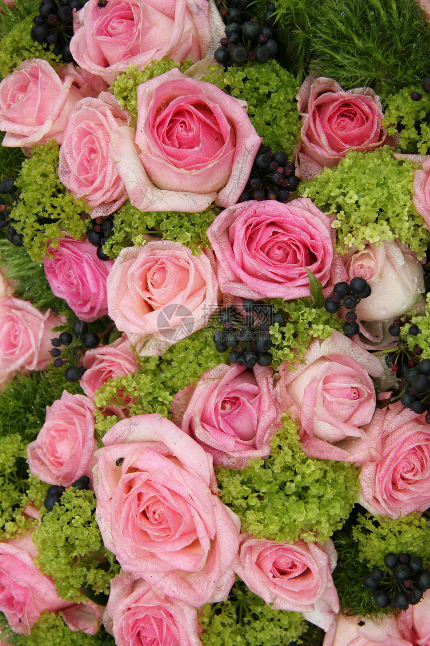 粉红花花安排新娘团体植物群花朵绿色婚姻玫瑰花瓣粉色植物图片