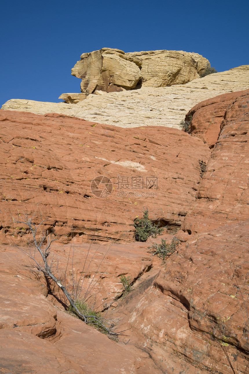兔子沙发岩沙漠峡谷岩层风景巨石岩石石头编队图片