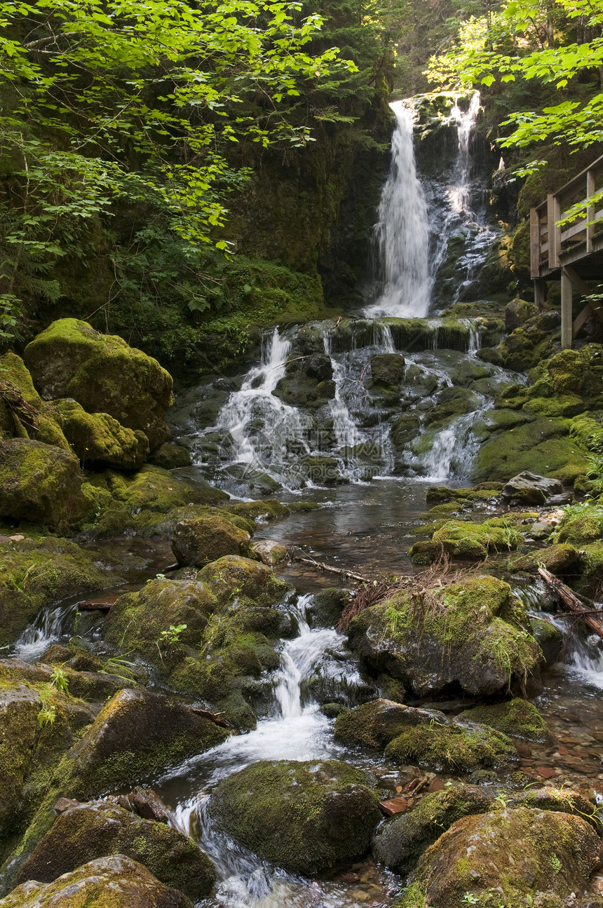 瀑布公园石头运动远足巨石美丽环境植物岩石木头图片