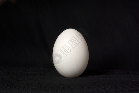 蛋白色食物母鸡蛋壳背景图片