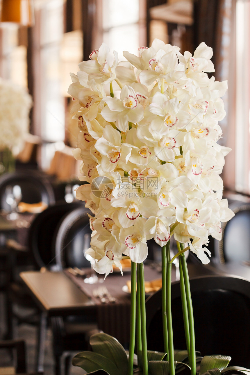 白兰花椅子花束静物礼物桌子热带白色植物群餐厅花瓣图片