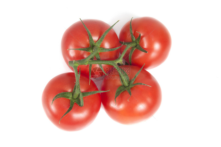 四个番茄白色绿色红色团体蔬菜水果植物农业宏观图片