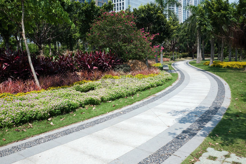 花园中的公路园艺植物石头路面小路人行道场景途径曲线绿色图片