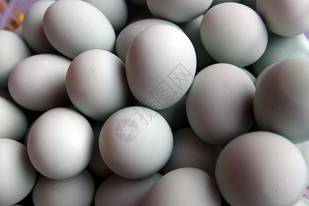 鸭蛋市场椭圆形圆形来源白色背景图片