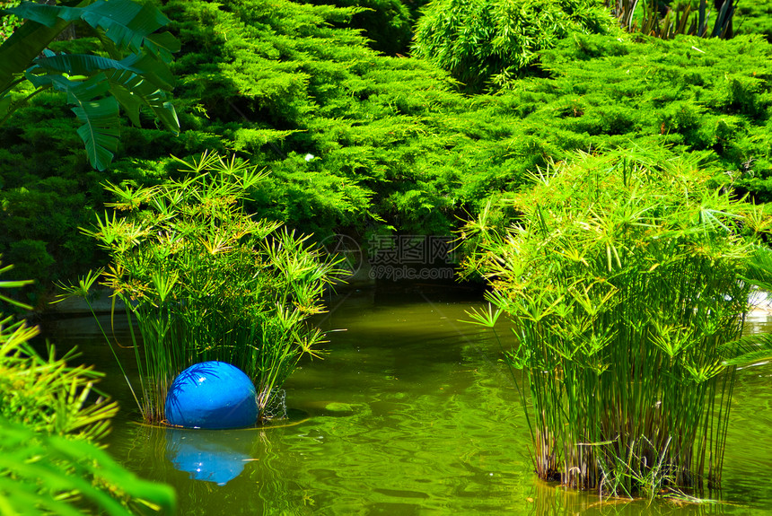 美丽的花园石头园林植物植物群奢华池塘露台公园绿化绿色图片