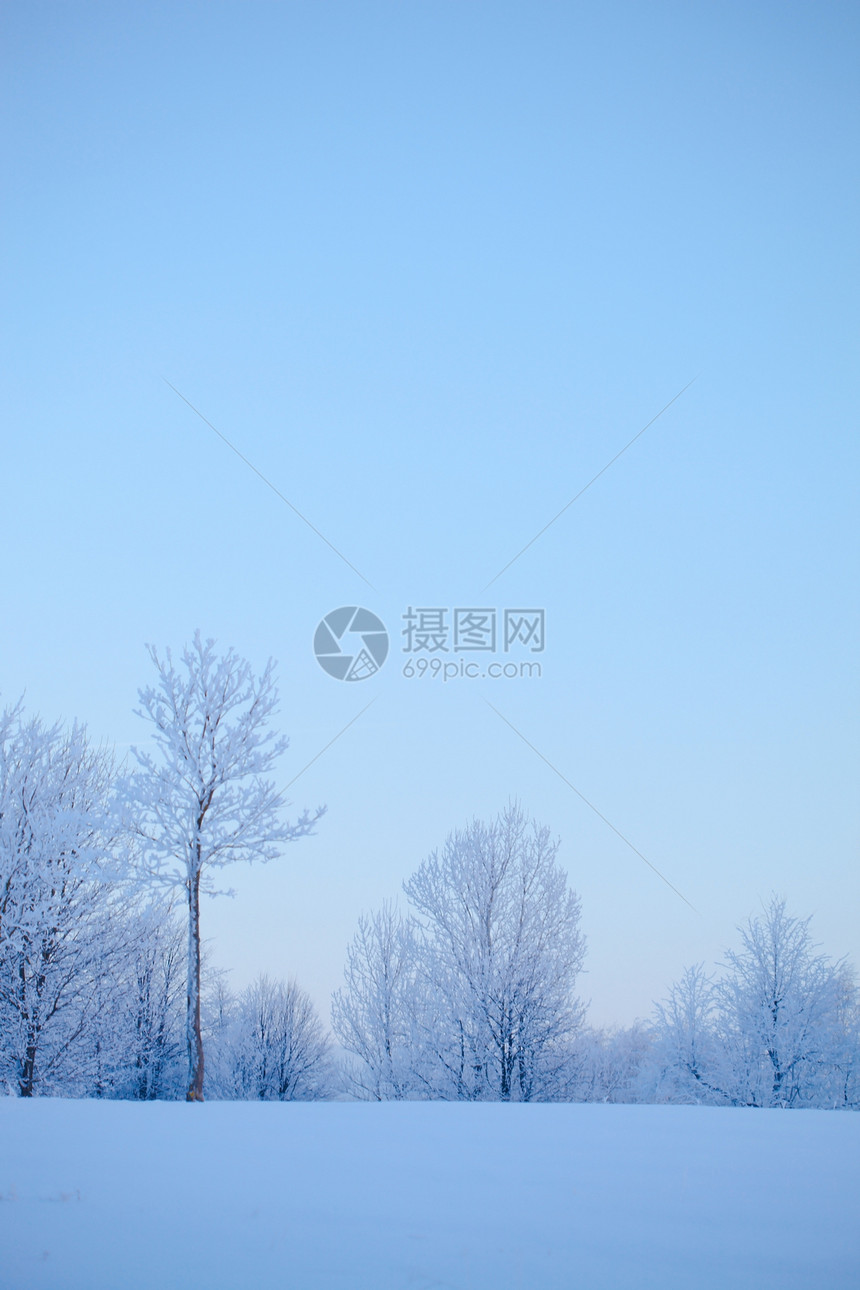 寒冷的冬季森林场地季节天气大路国家旅行车道天空暴风雪图片