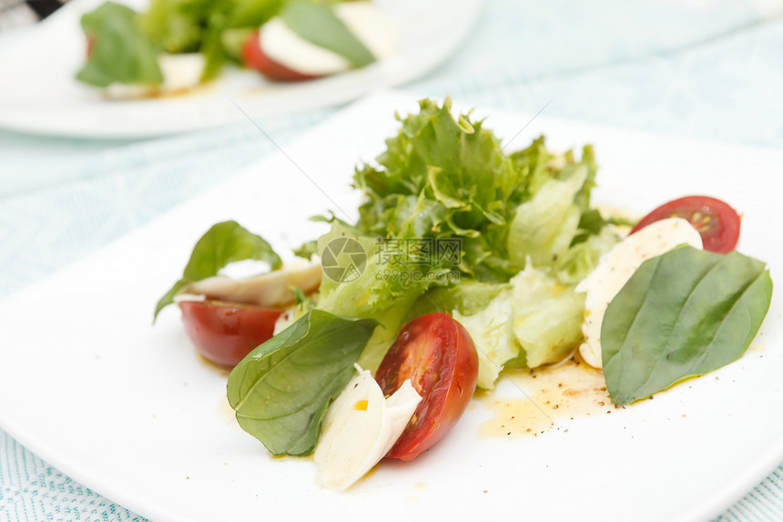 沙拉加马扎里拉 西红柿和巴西尔蔬菜午餐青菜白色晚餐营养红色叶子沙拉美食图片