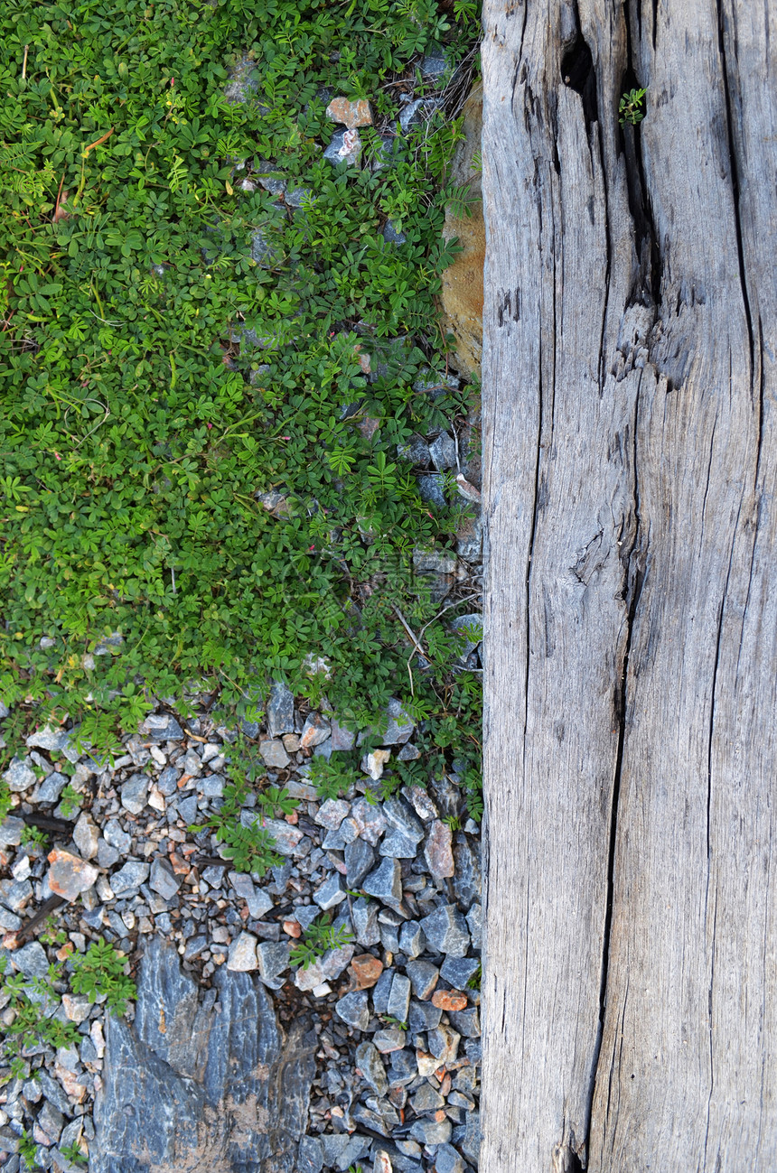碎石背景的青绿新草材料卵石岩石绿色墙纸地面石头木材街道图片