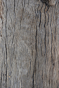 天然木质纹理材料效果桦木木纹地面木材背景图片