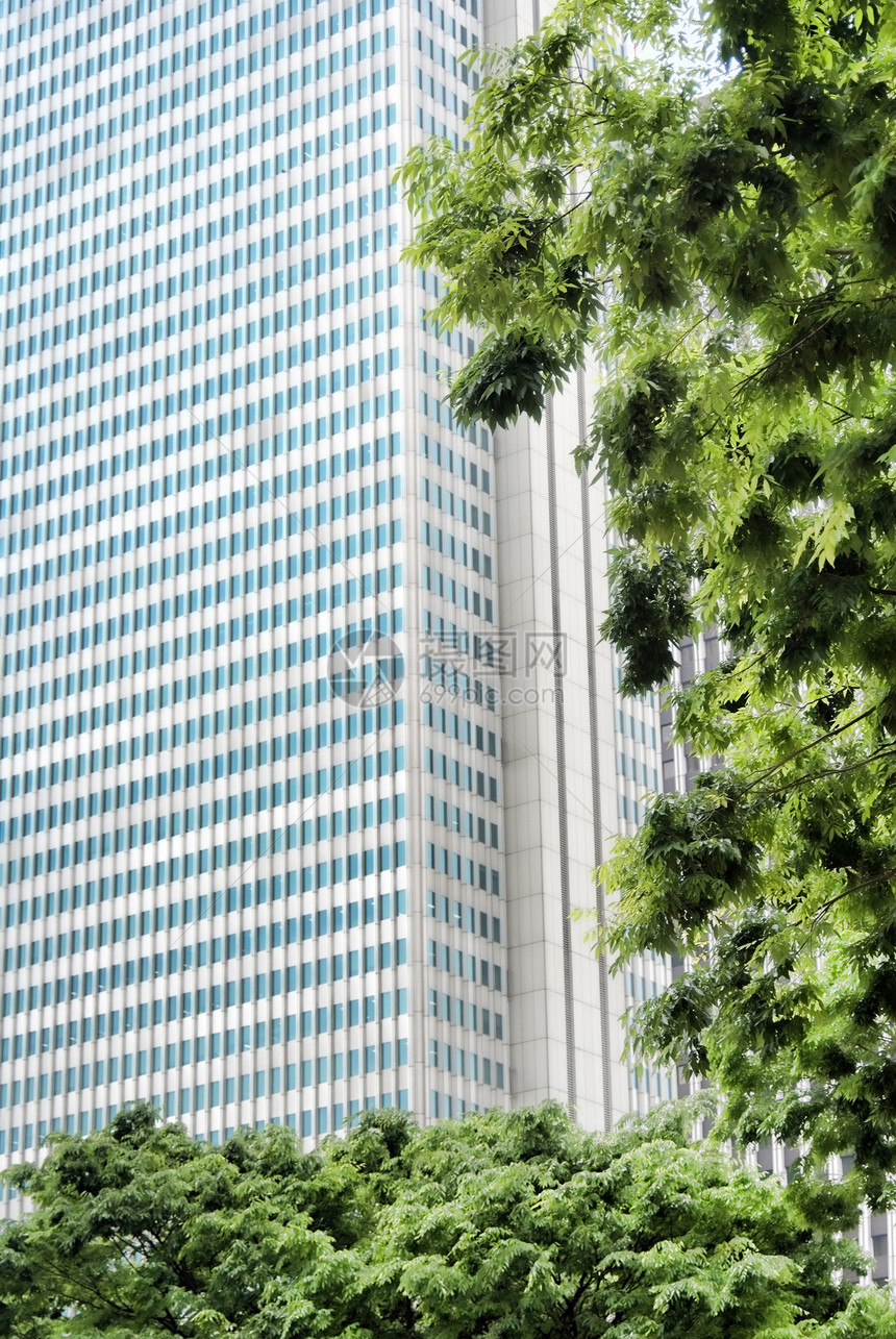 摩天大楼地板树叶水泥叶子城市建筑玻璃商业建筑学曲线图片