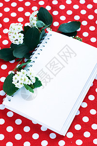 笔记笔记和白花枝笔记本白色树叶食谱红色圆点写作绿色背景图片