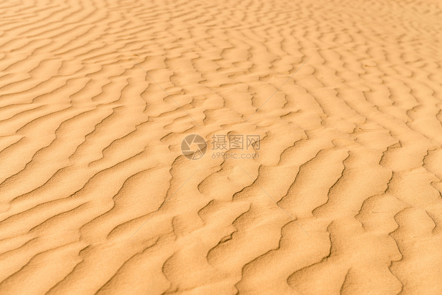 伟大的印度沙漠中的金沙丘橙子沙丘干旱口渴晴天海浪爬坡环境波纹图片