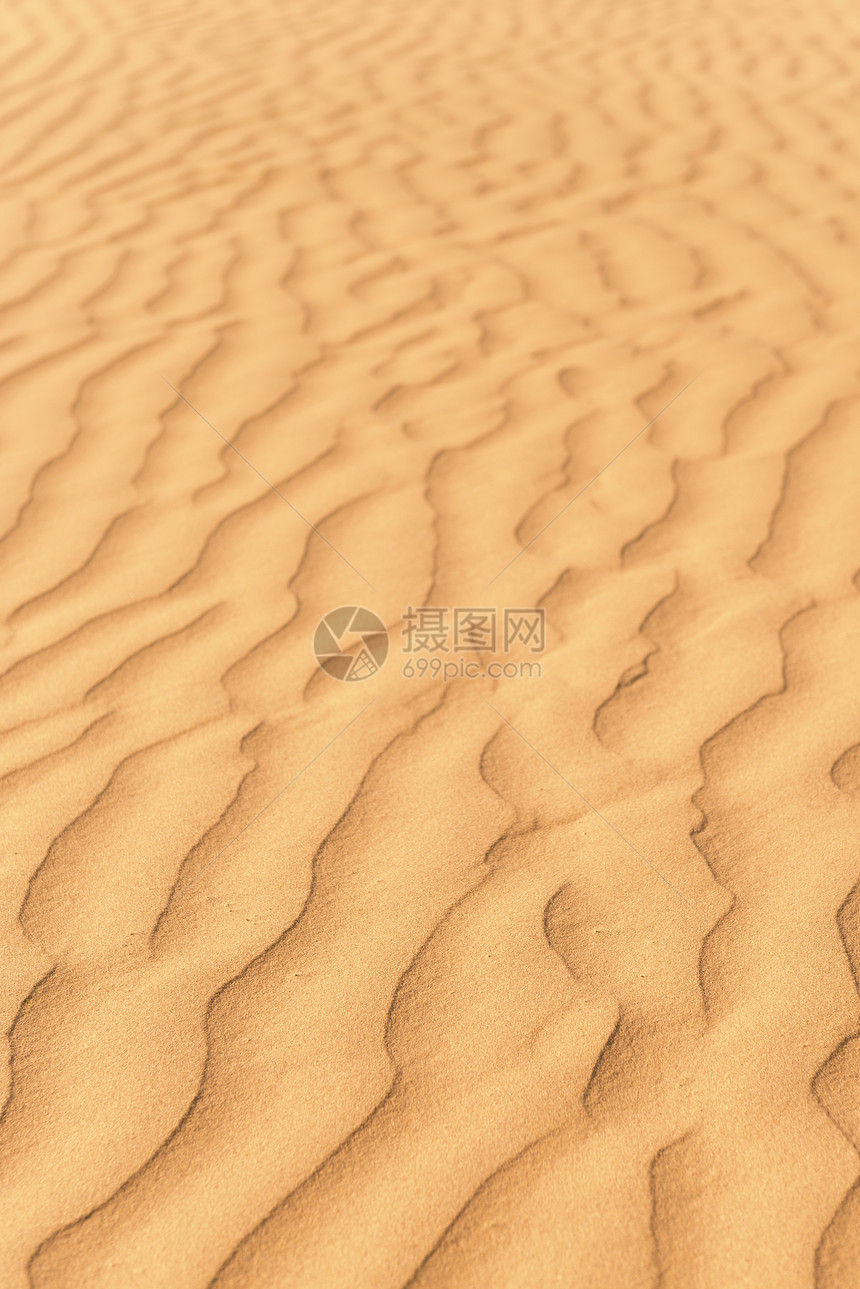 伟大的印度沙漠中的金沙丘口渴环境沙丘海浪干旱波纹爬坡橙子晴天图片