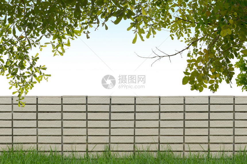 蓝天背景的灌木和砖栅栏绿色衬套建筑学叶子砖墙树篱天空图片