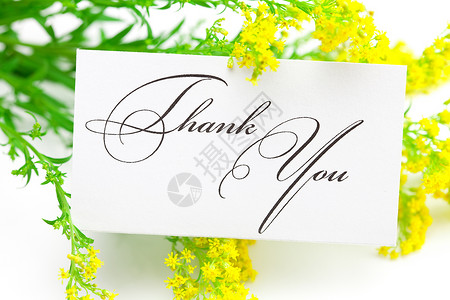 黄色田地花朵和一张签名的感谢卡 谢谢你们随意与世隔绝背景
