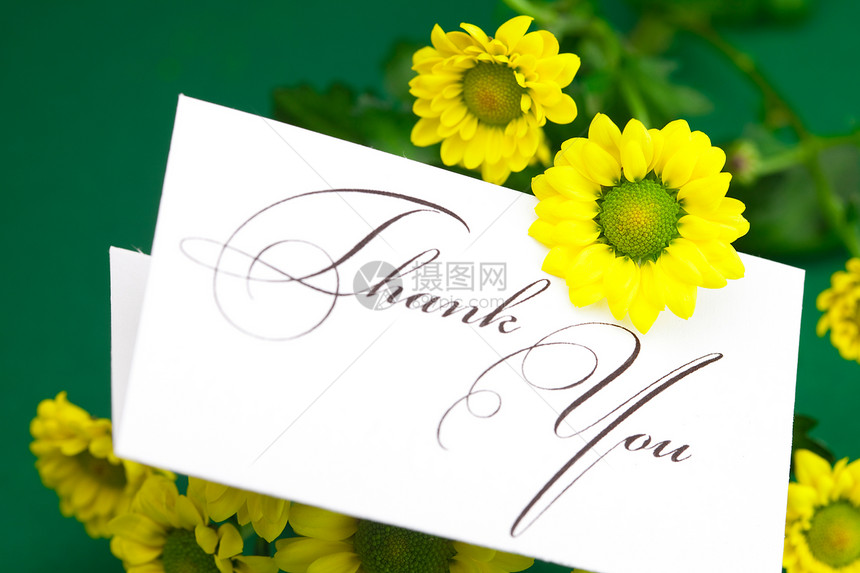 黄色菊花和卡片签名 谢谢您绿色背景感激洋甘菊笔记邀请函写作植物回应框架礼物玫瑰图片