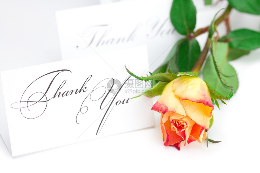 黄色红玫瑰和一张卡片 上面写着谢谢你们与世隔绝礼物感激社会墨水植物脚本框架玫瑰回应白色图片