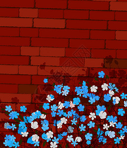 墙上的蓝色花朵背景图片