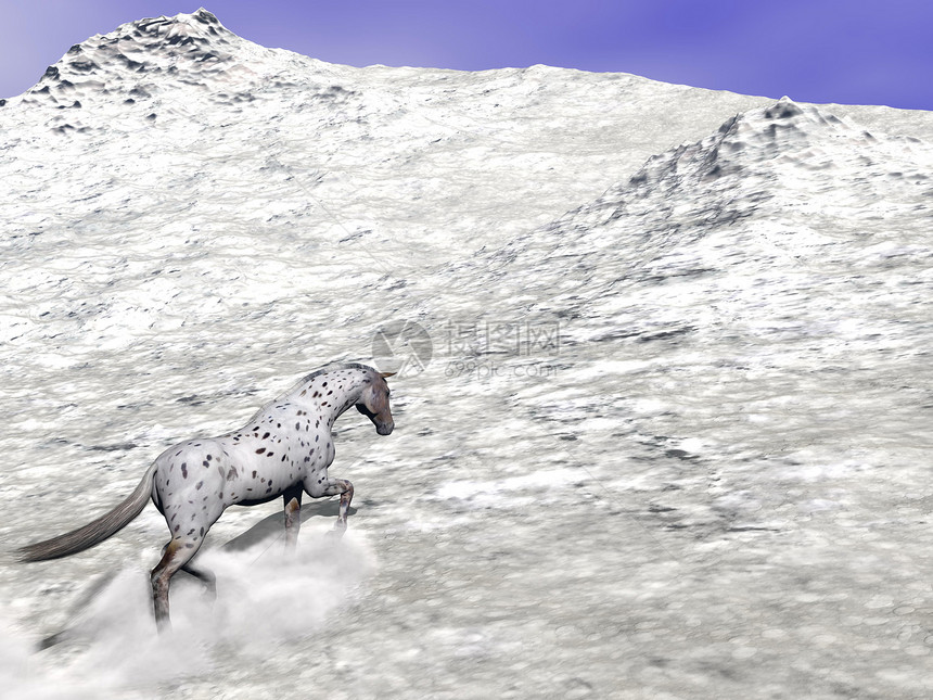 马在山上爬马 - 3D图片