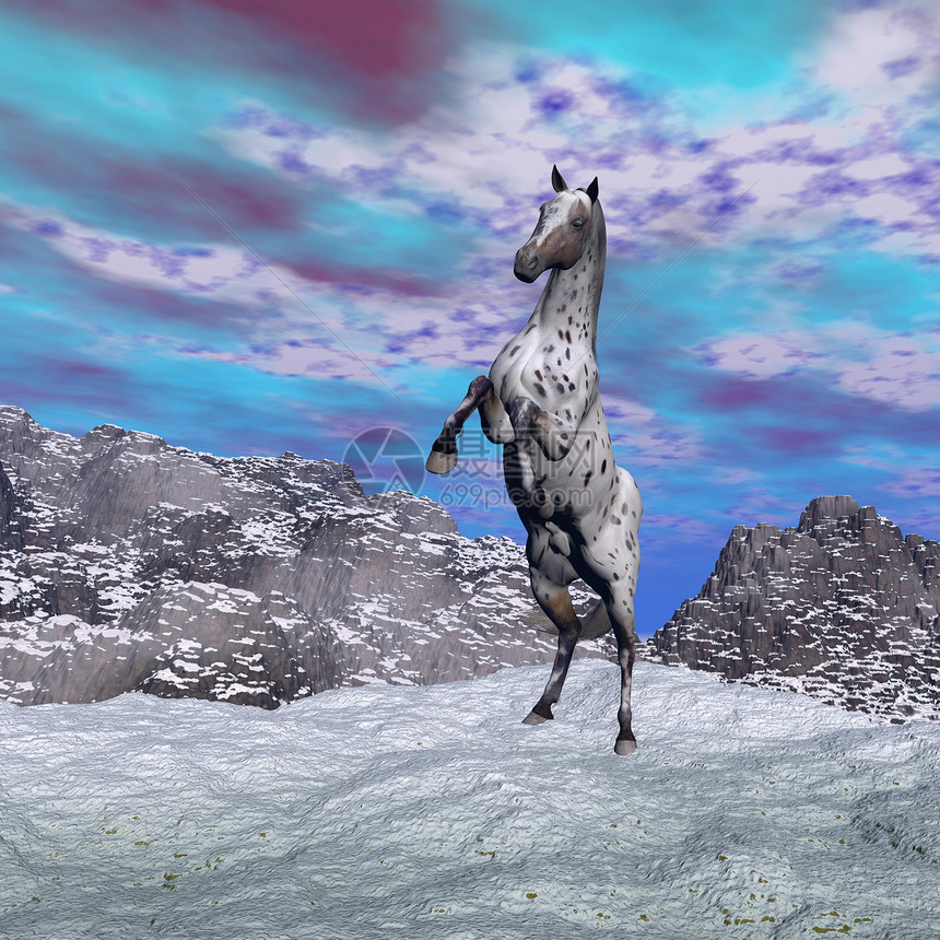 马在山中养马 3D制成图片