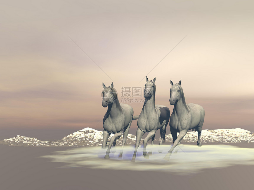 马匹加压 - 3D 化图片