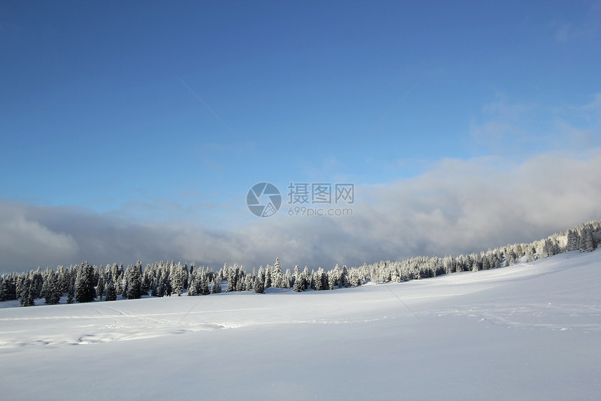 瑞士冬季的Jura山Jura山天空季节气候针叶全景高地天气环境森林降雪图片